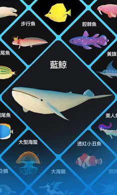 深海水族馆1.32.0情人节活动2021破解最新版图片1