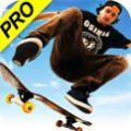 skate3滑板3中文破解版下载