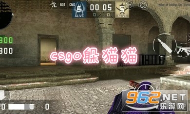 csgo躲猫猫游戏