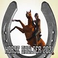 马棚2022游戏中文手机版（Horse Shelter 2022）