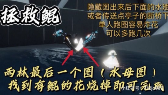 《光遇》2021年12月20日每日任务完成流程分享