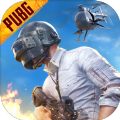 pubgmobile.com免费下载正版正式版