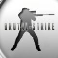 BrutalStrike联机战队