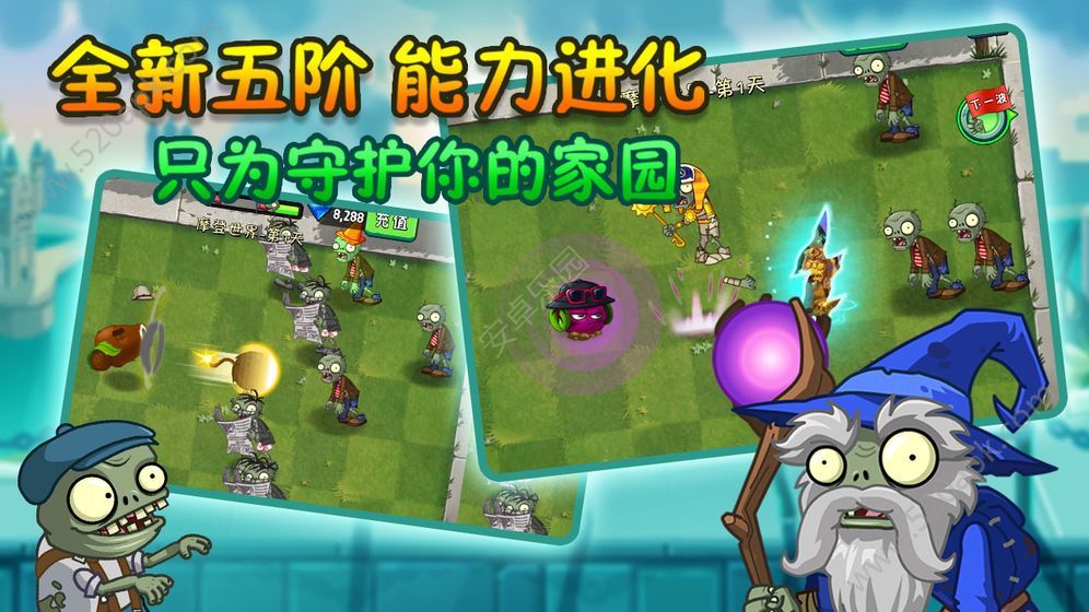 植物大战僵尸bd版本双人对战最新下载2022（PVZ_BD）图片1