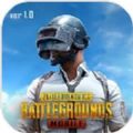 pubgm国际服(BETA PUBG MOBILE)