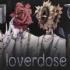 Loverdose爱意过载修改版