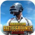 PUBG MOBILE国际服手游更新最新正版免账号