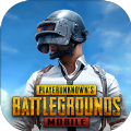 绝地求生pubg（国际服）安卓免费下载安装