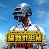 pubgmobile台服(PUBG MOBILE TW)