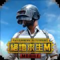 pubgmobile国际服手游下载地铁逃生2.5最新版本