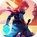 dead cells2.7.9