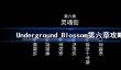 Underground Blossom第六章攻略