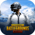 绝地求生国际服PUBG MOBILE