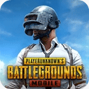 pubg国服版地铁逃生下载