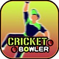 棒球投球手CricketBowler游戏