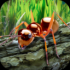 蚂蚁模拟器和谐版下载安装