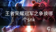 王者荣耀冠军之争换哪个snk